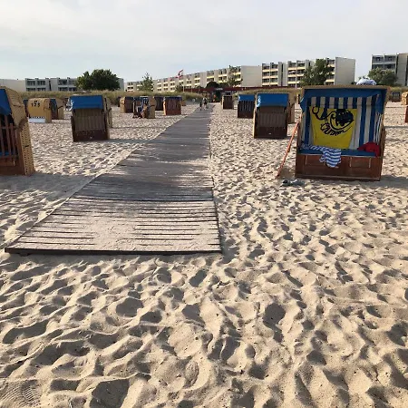 Kleine Scholle 费马恩